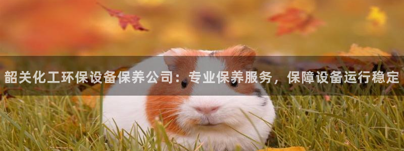 亿万番外：韶关化工环保设备保养公司：专业保养服务，保障设备运行稳定