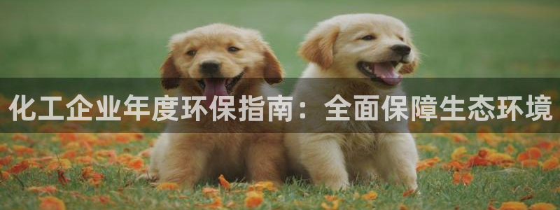 亿万先生手机版入口在哪下载：化工企业年度环保指南：全面保障生态环境