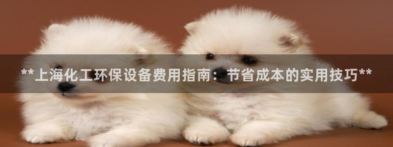 亿万网络科技有限公司ceo：**上海化工环保设备费用指南：节省成本的实用技巧**