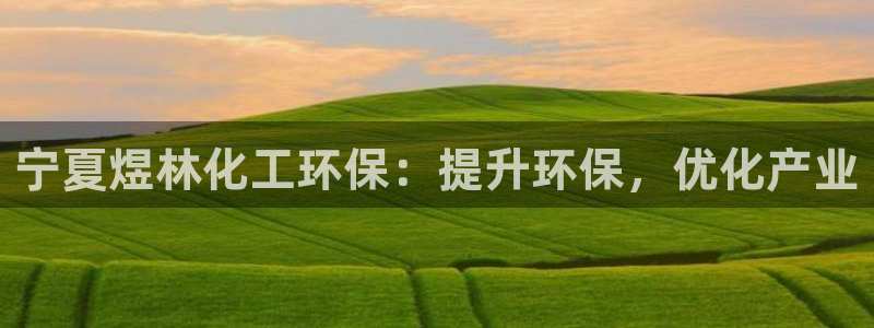 亿万先生下载网址app：宁夏煜林化工环保：提升环保，优化产业