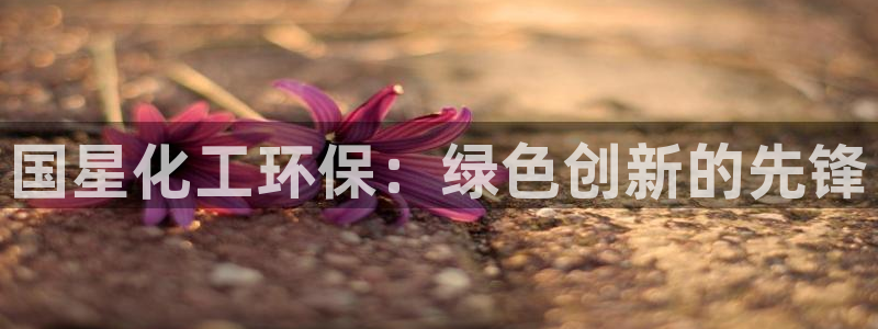 亿万首富手游兑换码：国星化工环保：绿色创新的先锋