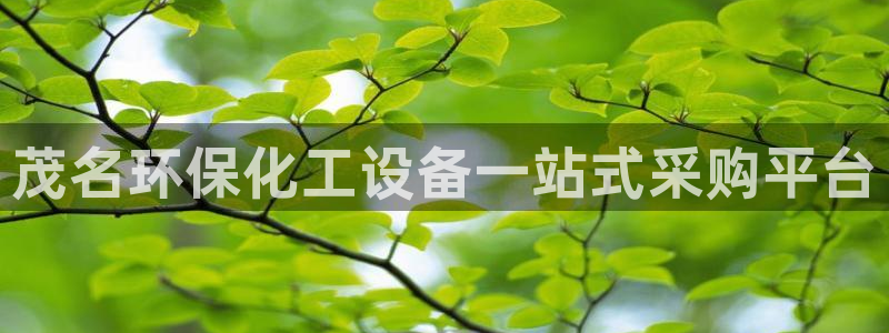 mr8001亿万先生在线存款：茂名环保化工设备一站式采购平台