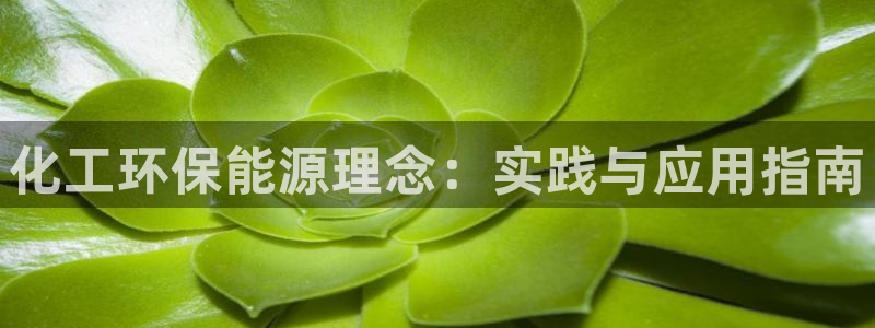 亿万先生 手机版下载最新版：化工环保能源理念：实践与应用指南