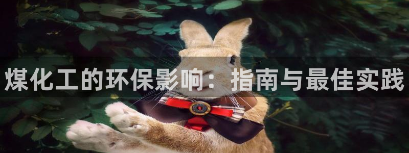 亿万网络科技有限公司：煤化工的环保影响：指南与最佳实践