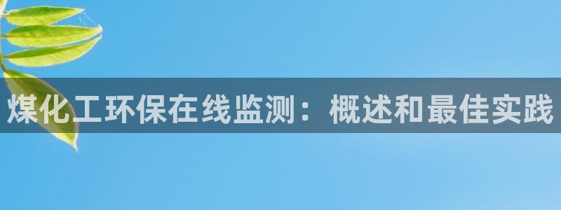 亿万先生网站：煤化工环保在线监测：概述和最佳实践
